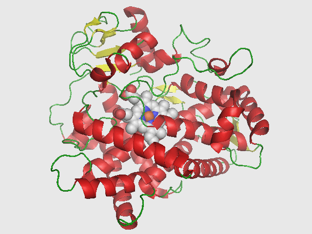 <strong>How mephedrone is distributed in the human body during intoxication</strong>