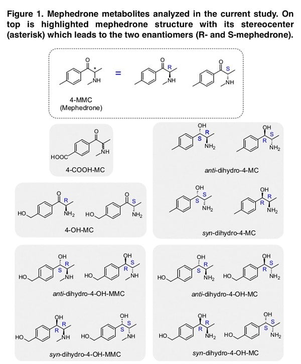 <strong>Effect of individual mephedrone metabolites on monoamine transporter activity</strong>