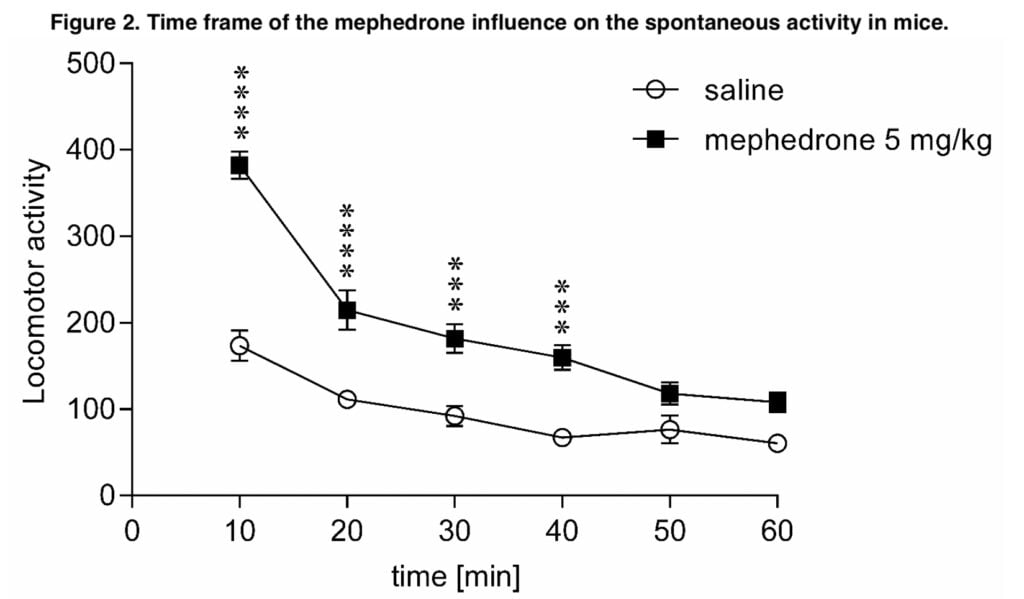 <strong>Basic research on mephedrone in rats</strong>