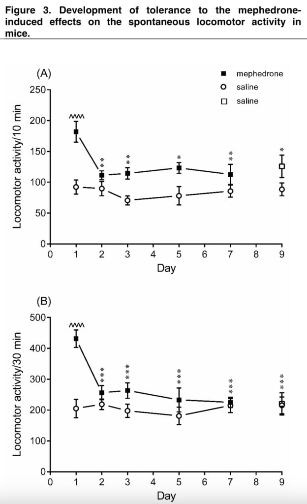 <strong>Basic research on mephedrone in rats</strong>