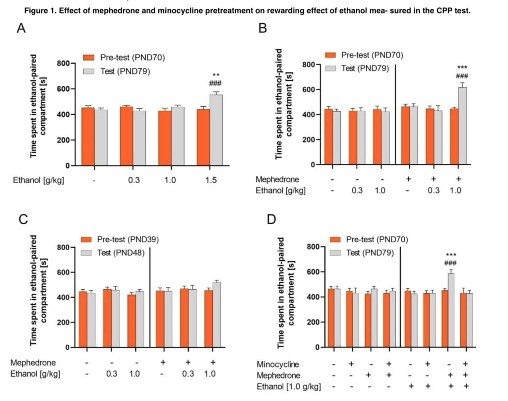 <strong>Mephedrone use increases sensitivity to ethanol</strong>