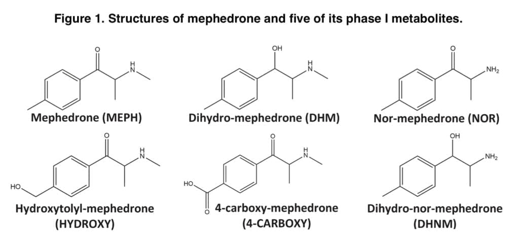 <strong>Urinary excretion of mephedrone and its metabolites</strong>