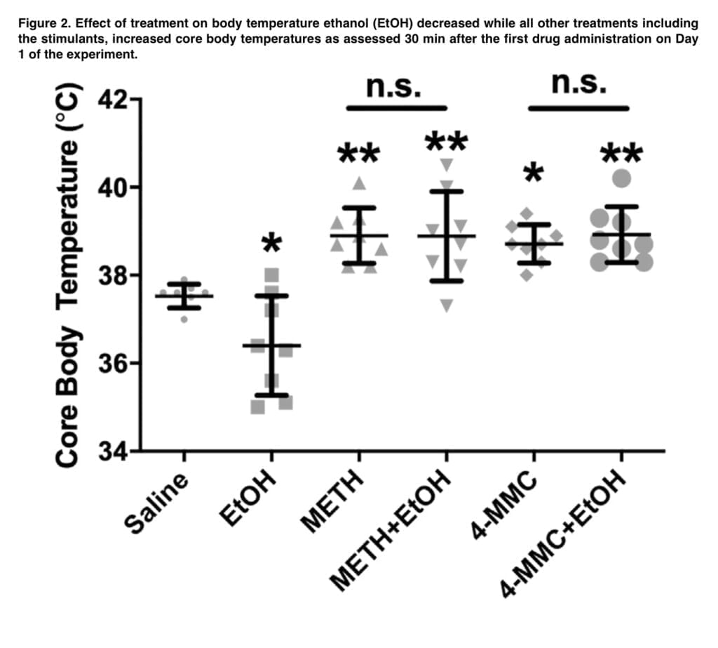 <strong>The combination of alcohol and mephedrone alters neuronal activity</strong>