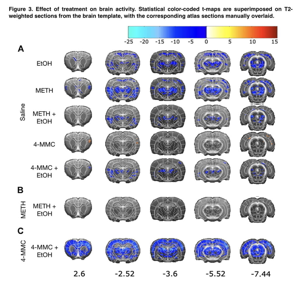 <strong>The combination of alcohol and mephedrone alters neuronal activity</strong>