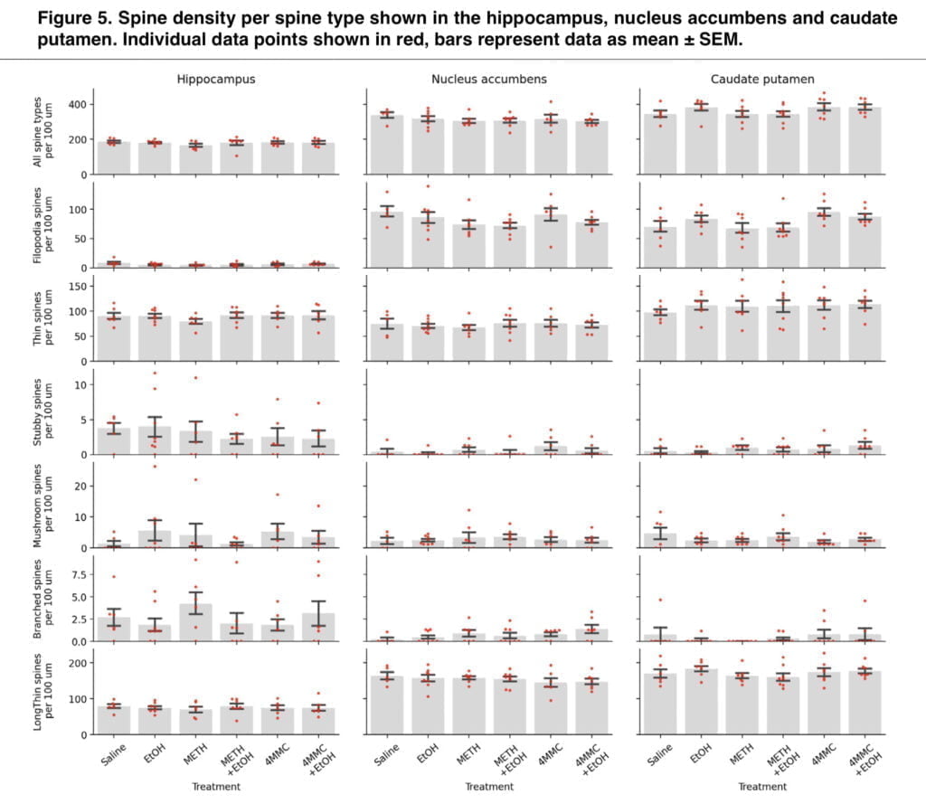 <strong>The combination of alcohol and mephedrone alters neuronal activity</strong>