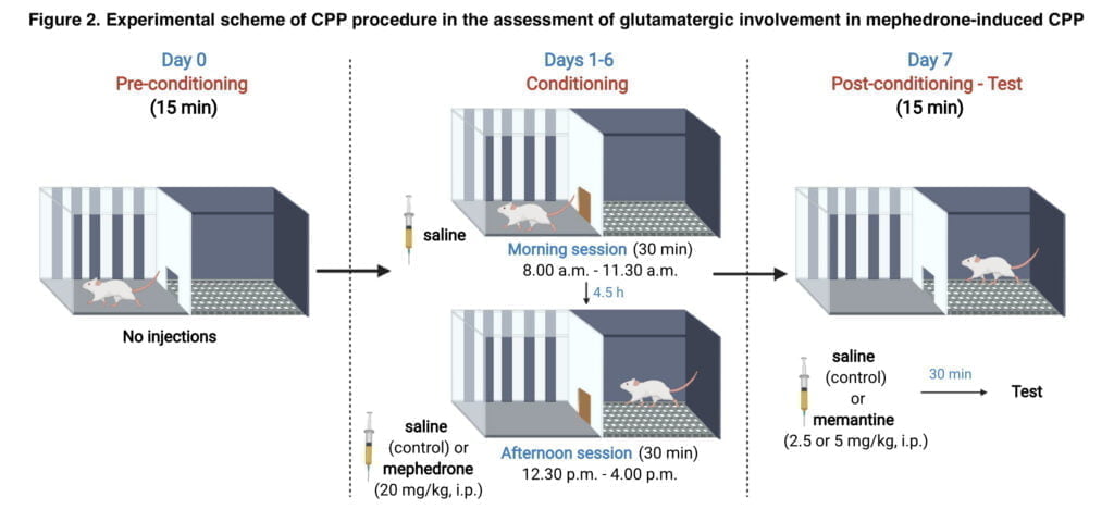 <strong>The effects of mephedrone and glutamate encouragement</strong>