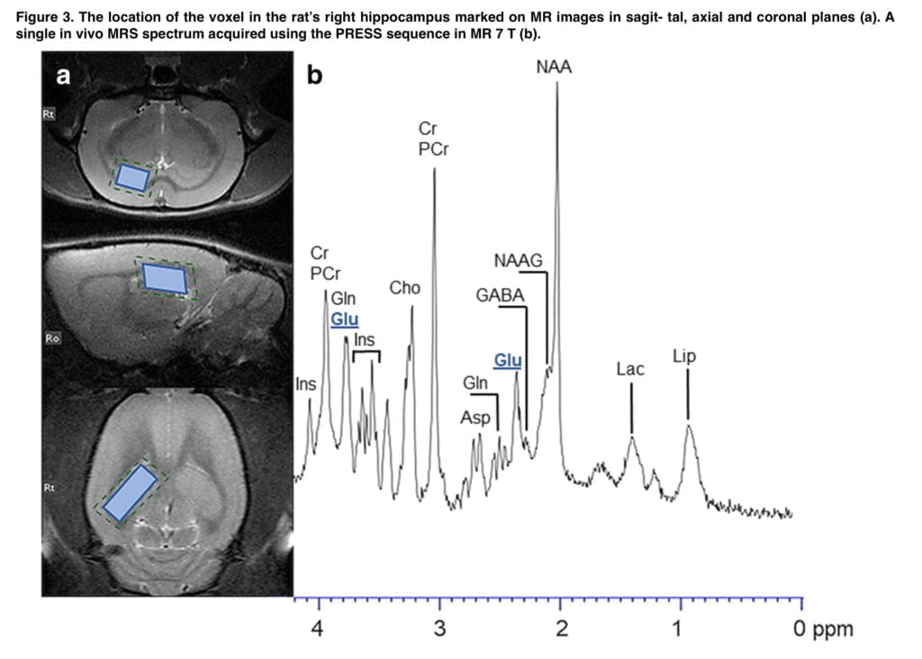 <strong>The effects of mephedrone and glutamate encouragement</strong>