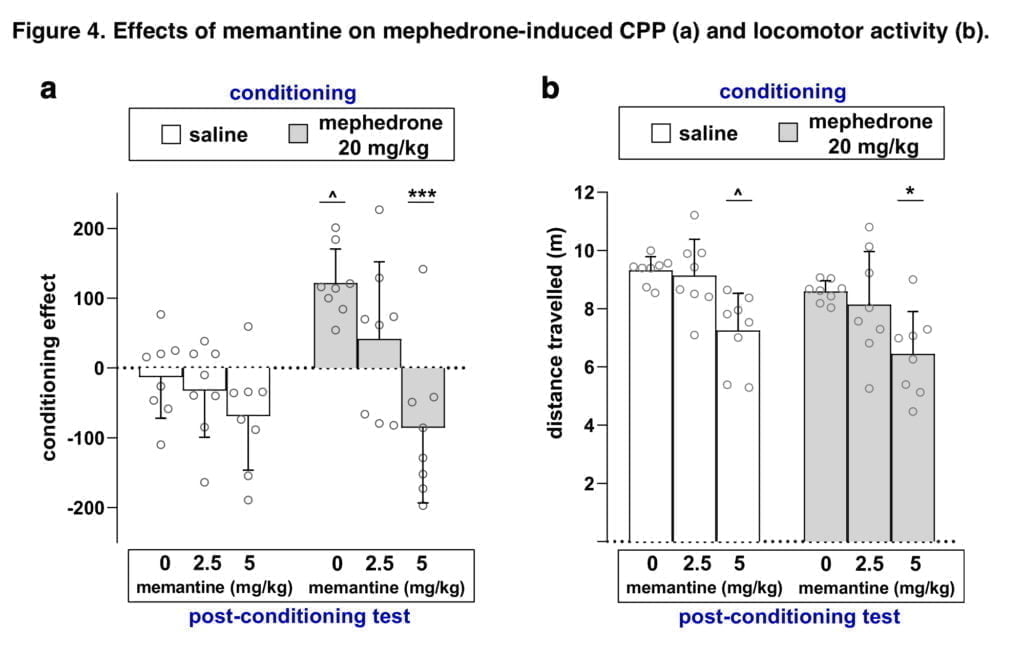 <strong>The effects of mephedrone and glutamate encouragement</strong>