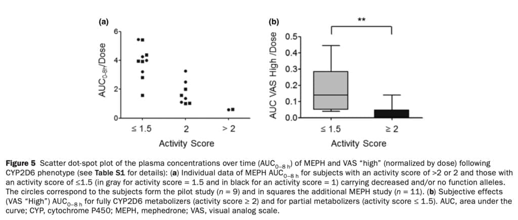 <strong>A new pharmacological study of mephedrone</strong>