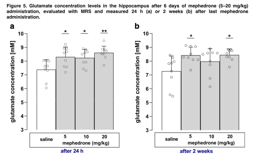 <strong>The effects of mephedrone and glutamate encouragement</strong>