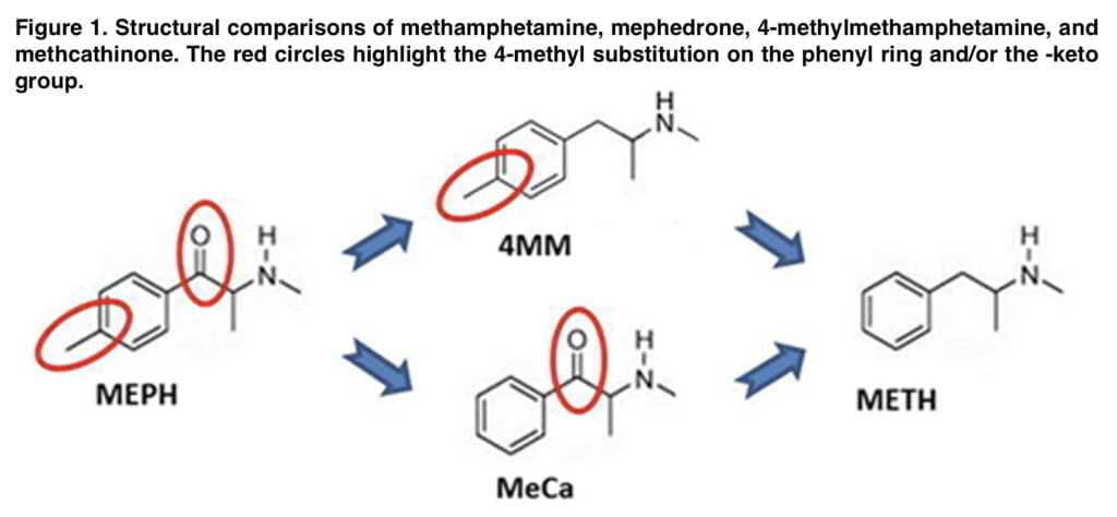 <strong>Preclinical studies of mephedrone neurotoxicity and hypothermia</strong>