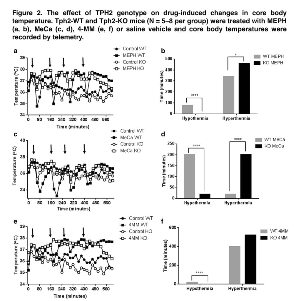 <strong>Preclinical studies of mephedrone neurotoxicity and hypothermia</strong>