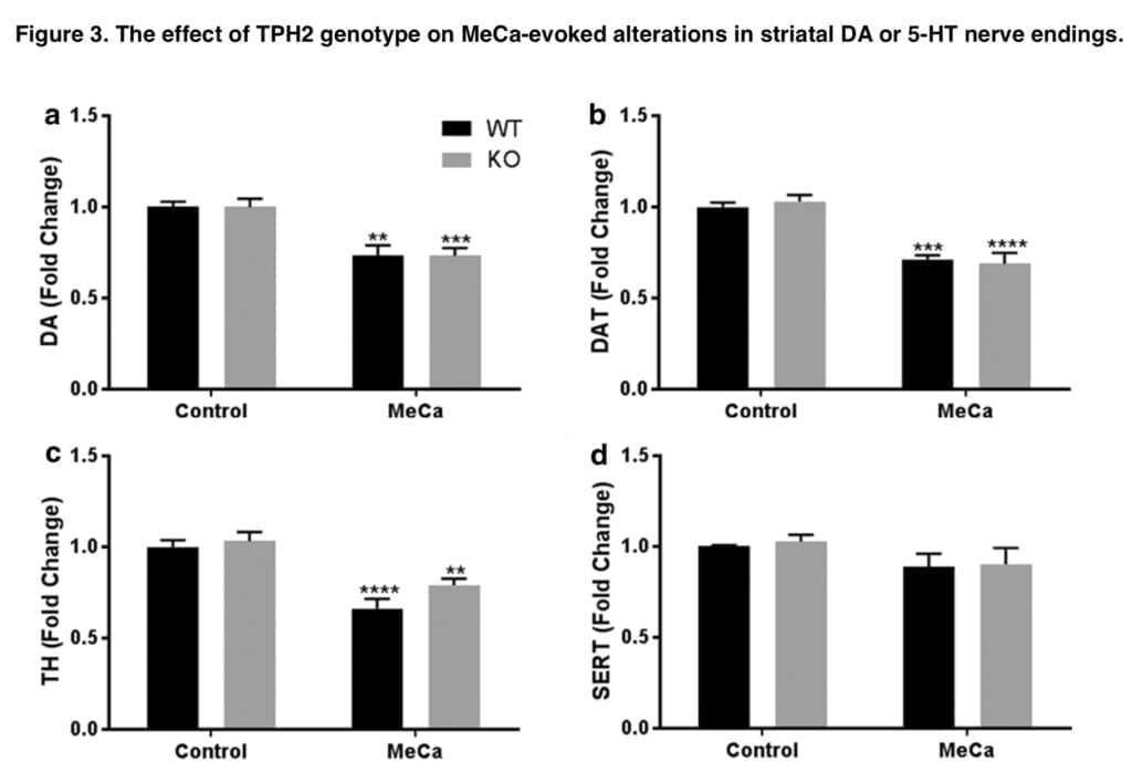 <strong>Preclinical studies of mephedrone neurotoxicity and hypothermia</strong>