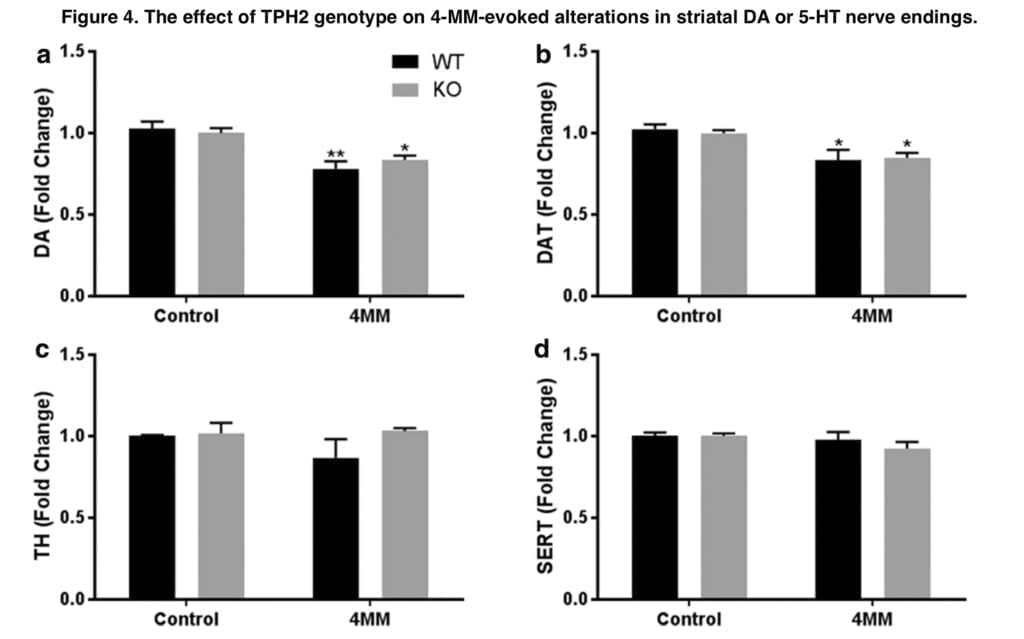 <strong>Preclinical studies of mephedrone neurotoxicity and hypothermia</strong>