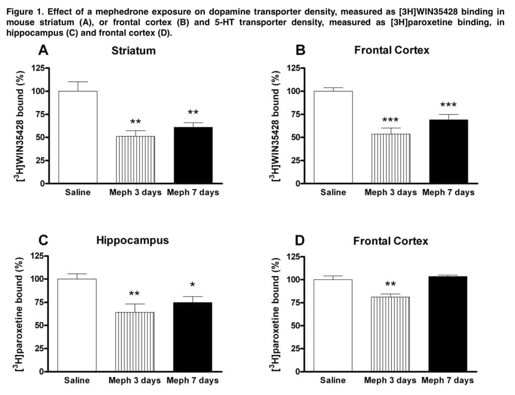 Mephedrone Brain Damage: can 4mmc neurotoxicity be avoided