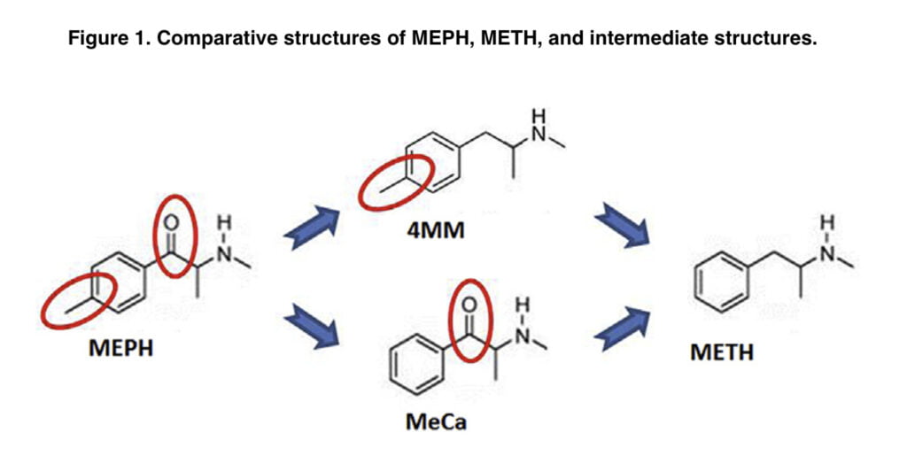 Mephedrone increases dopamine levels in the body: research