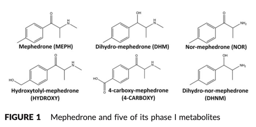 Mephedrone Bioavailability metabolite