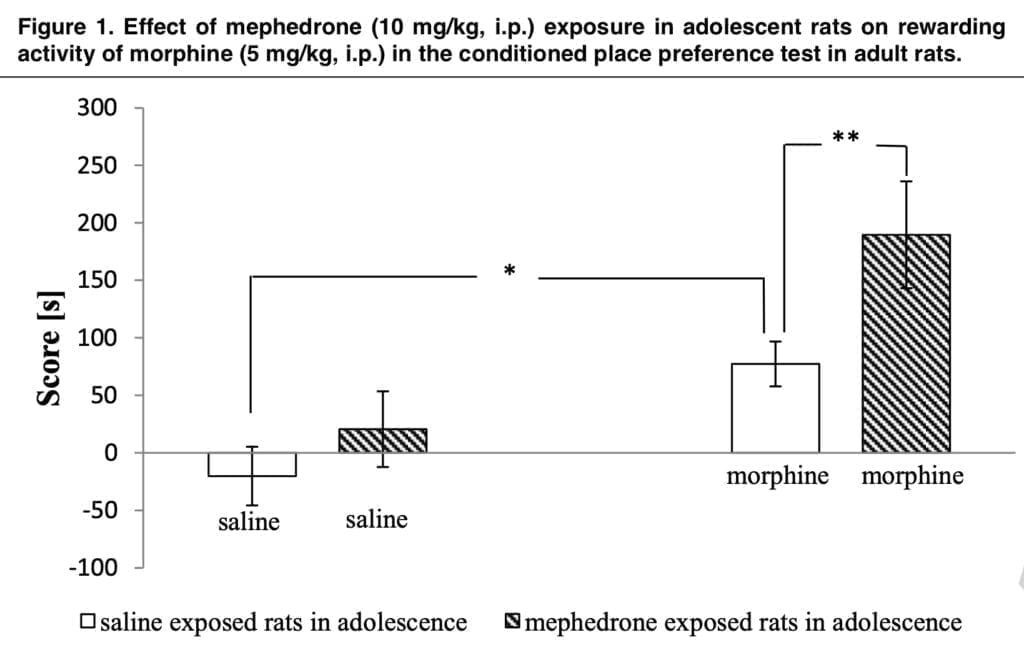 Mephedrone and Morphine: double blow to the human body