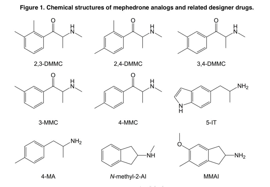Analogs of mephedrone: substances and scientific results