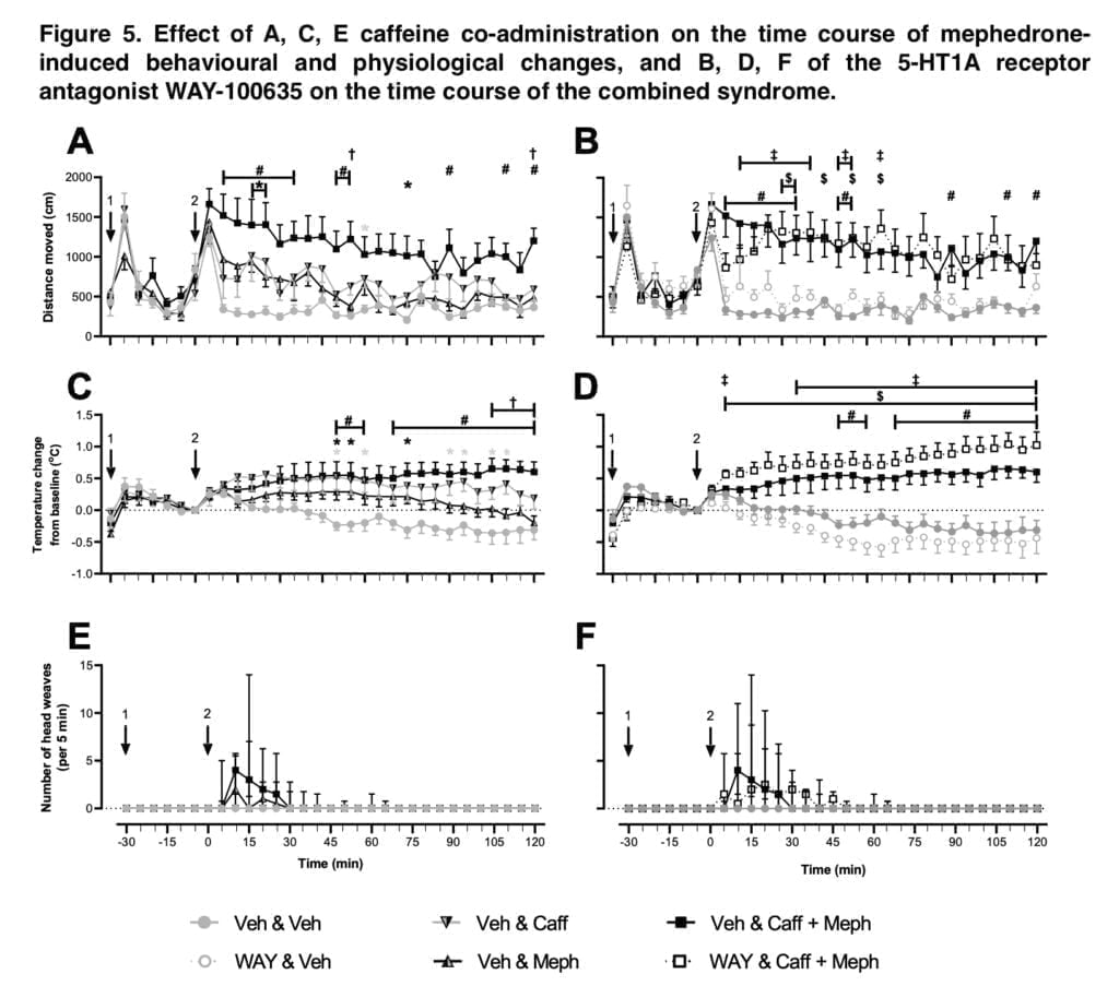 Effects of the combination of mephedrone and caffeine