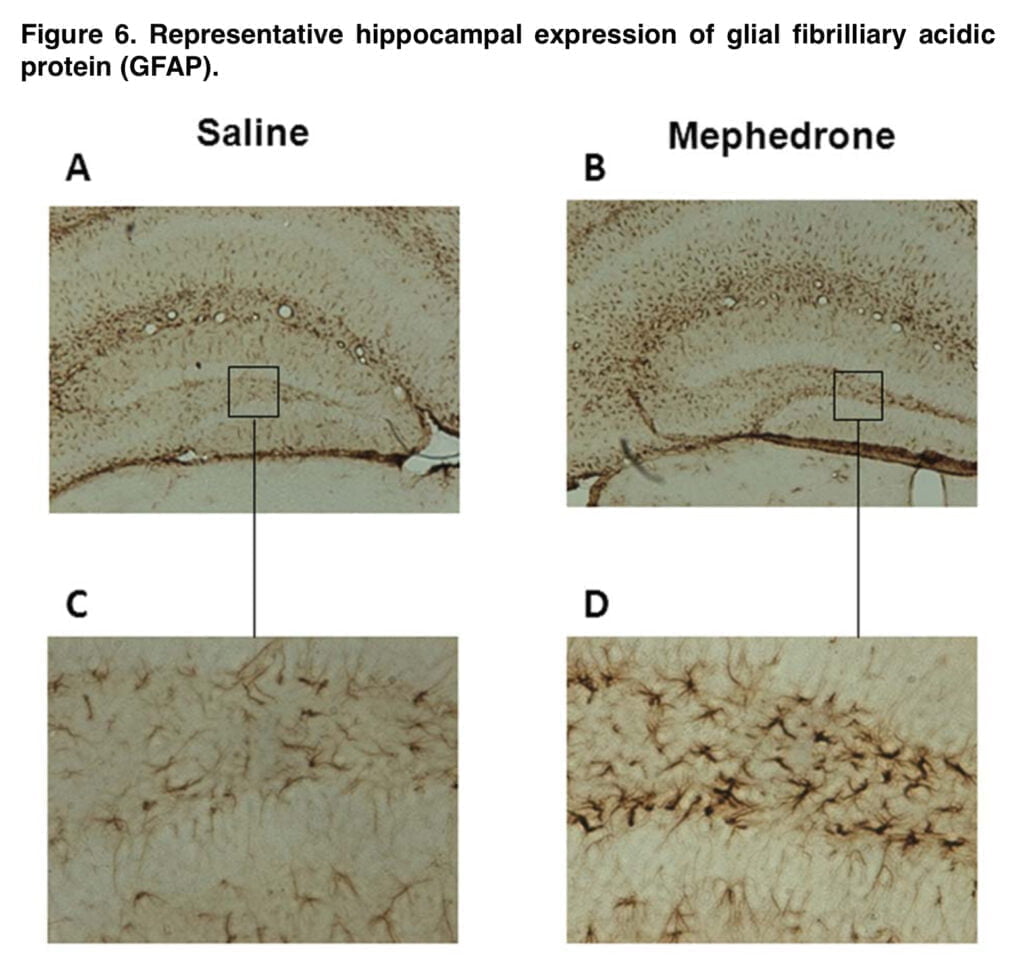 Mephedrone Brain Damage: can 4mmc neurotoxicity be avoided