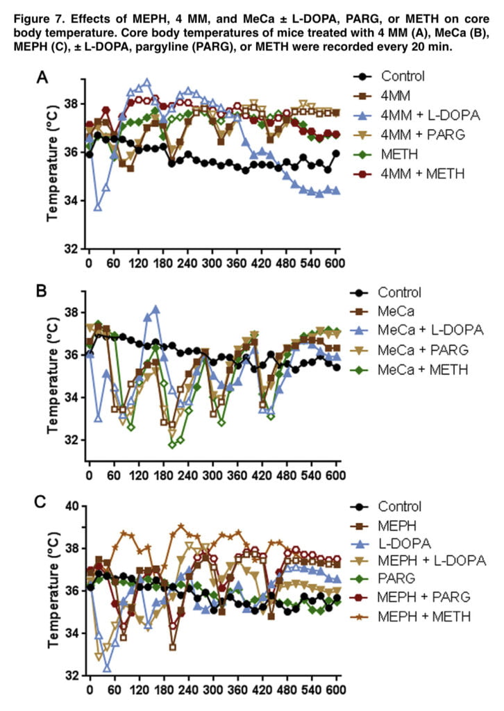 Mephedrone increases dopamine levels