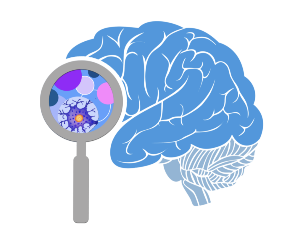 Mephedrone Brain Damage: can 4mmc neurotoxicity be avoided